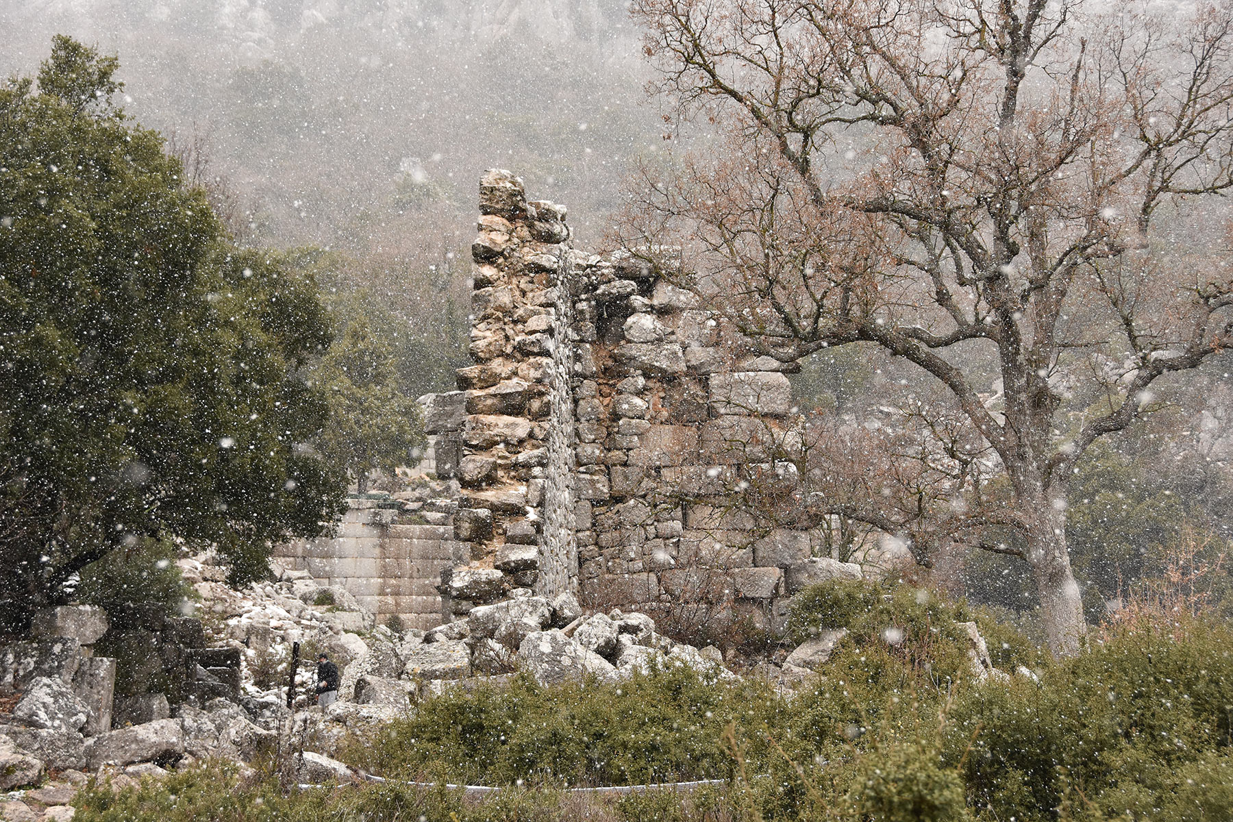 Termessos Ruins, Düzlerçamı